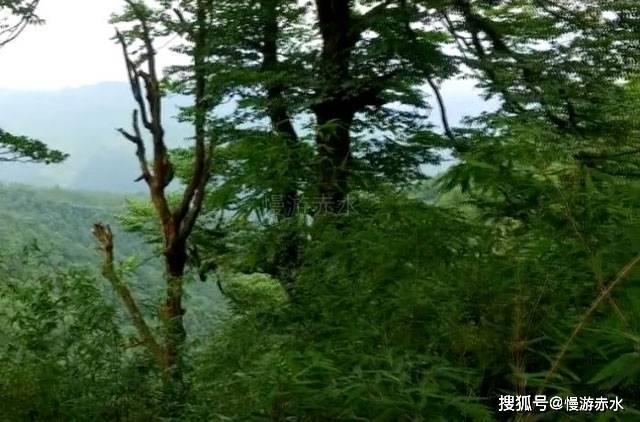 光之镇